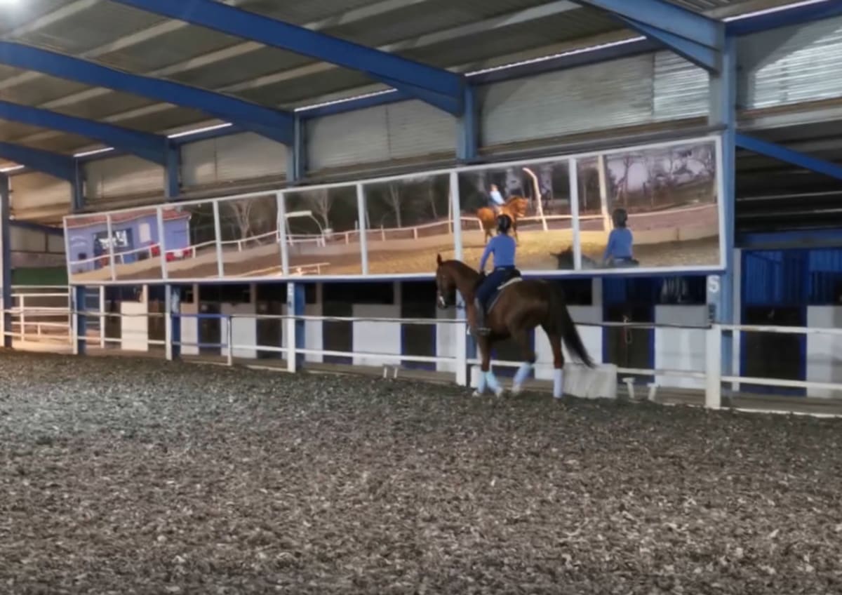 C.D.E HÍPICO SOTO DEL GRILLO - Hipica in Velilla de San Antonio