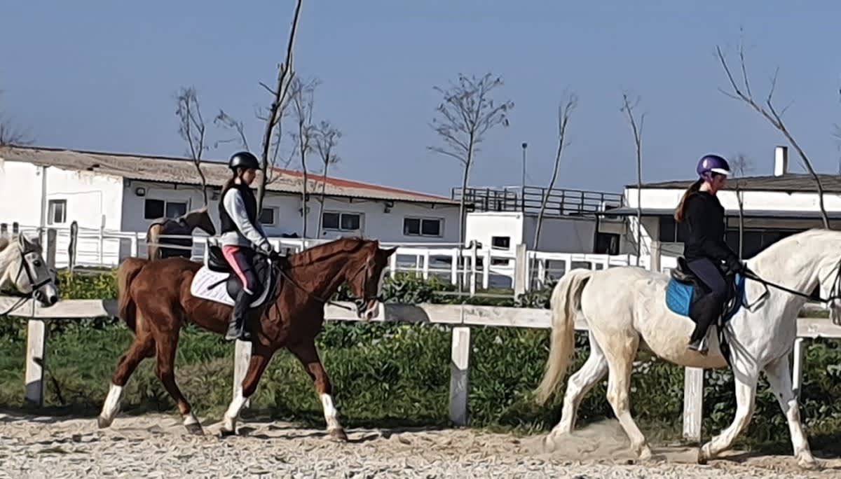 Hípica Getafe - Hipica en Getafe