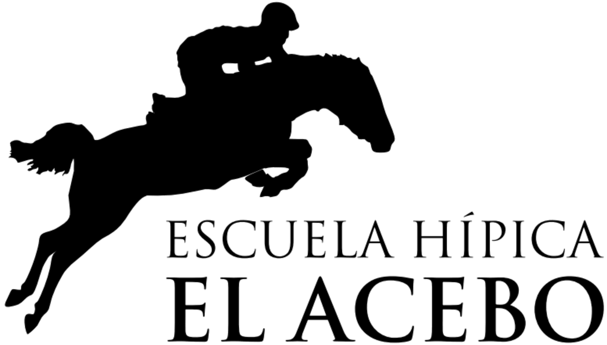 Escuela Hípica el Acebo - Hipica en Prádena