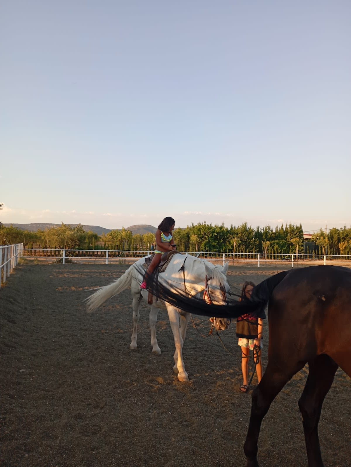 Centro Ecuestre Olipar - Hipica en Utiel