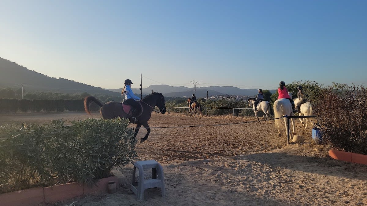Centro Ecuestre Jesús Verdia - Hipica en Onda
