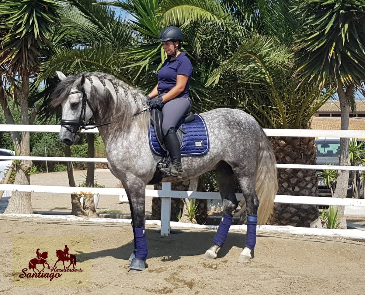 Club Hípico Herederos De Santiago - Hipica in Vinyols i els Arcs