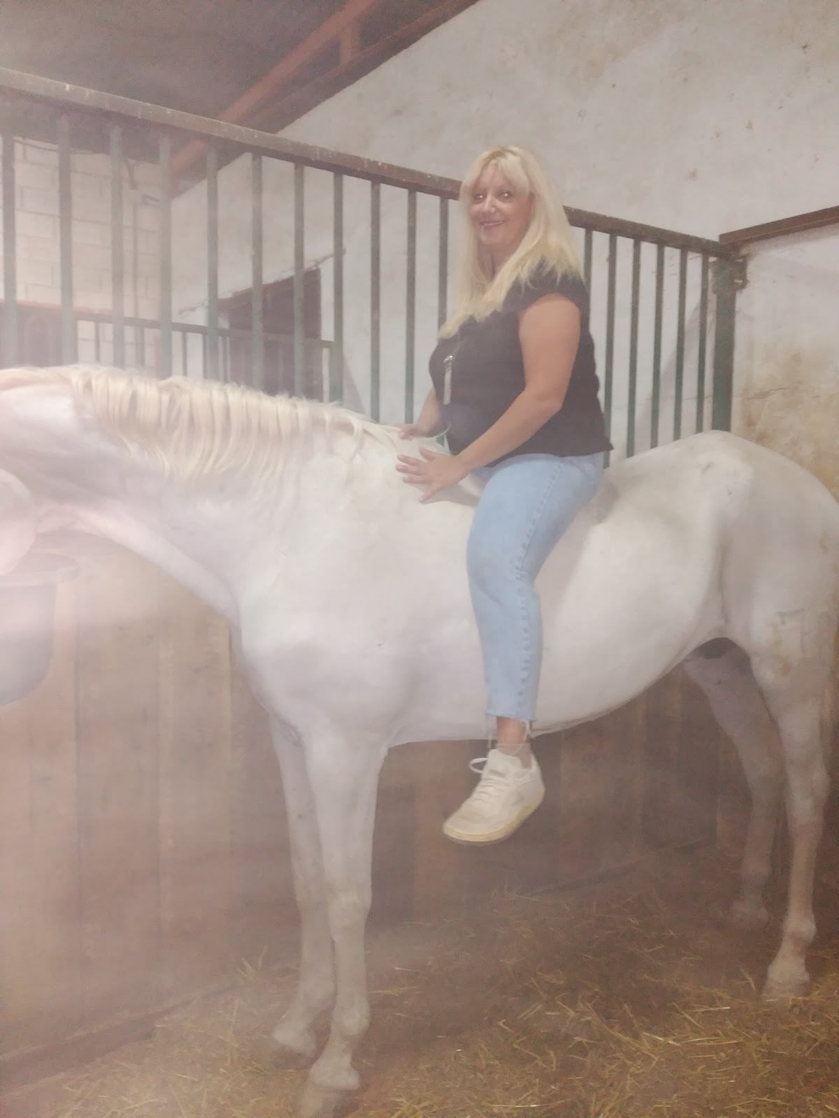 Escuela Equitación Emilio Galán - Hipica en Tarancón