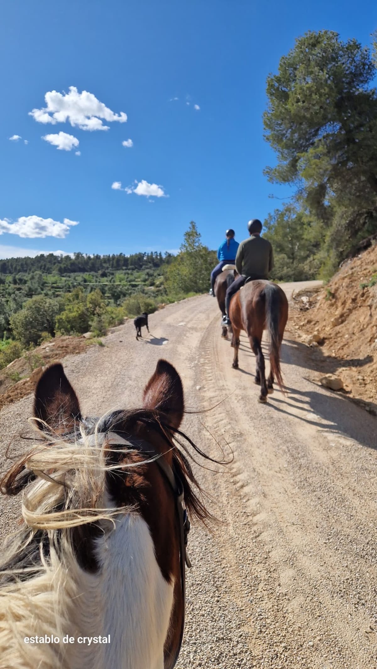 Establo de Crystal - Hipica in Valderrobres