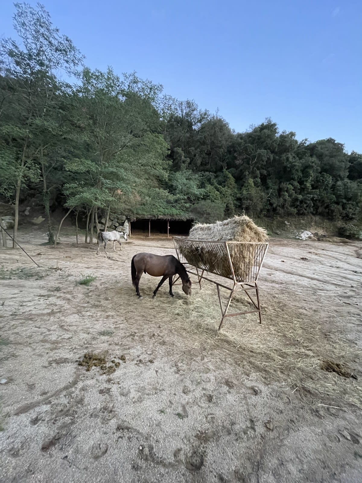 Centro Ecuestre De Llavaneres - Hipica em Sant Andreu de Llavaneres