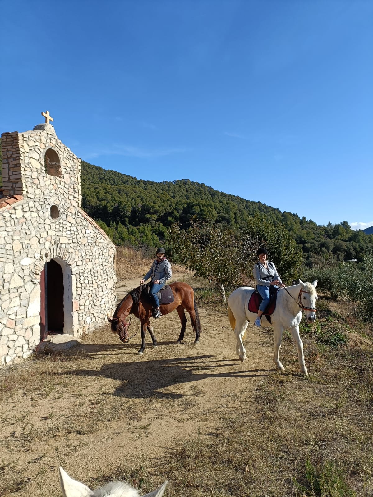 Mussara - Equitación Emocional y Coaching con caballos - Hipica in Tarragona