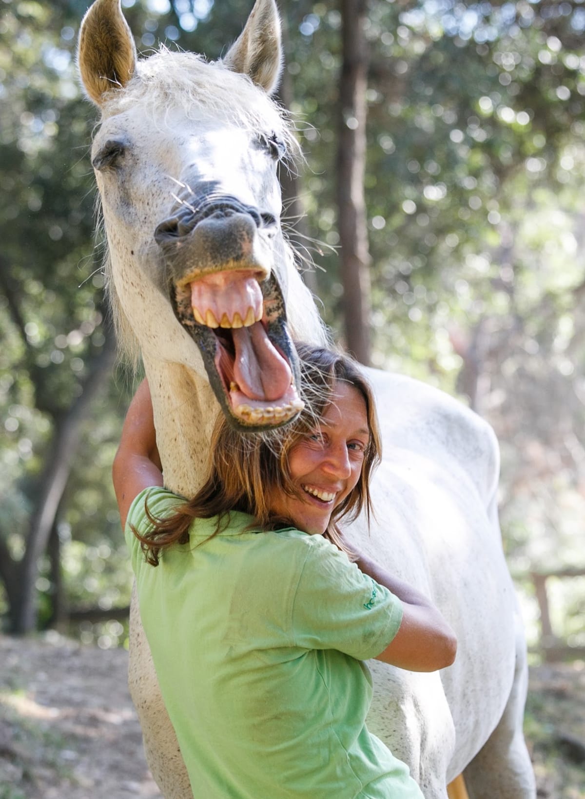 Centre Eqüestre Horseway - Equitació Connectada i Doma Natural - Hipica in Argentona