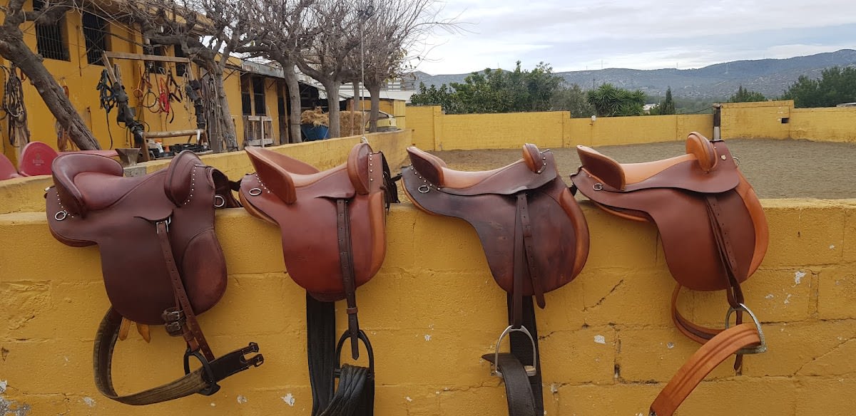 Hipica Can Llorenç - Hipica em Vilanova i la Geltrú