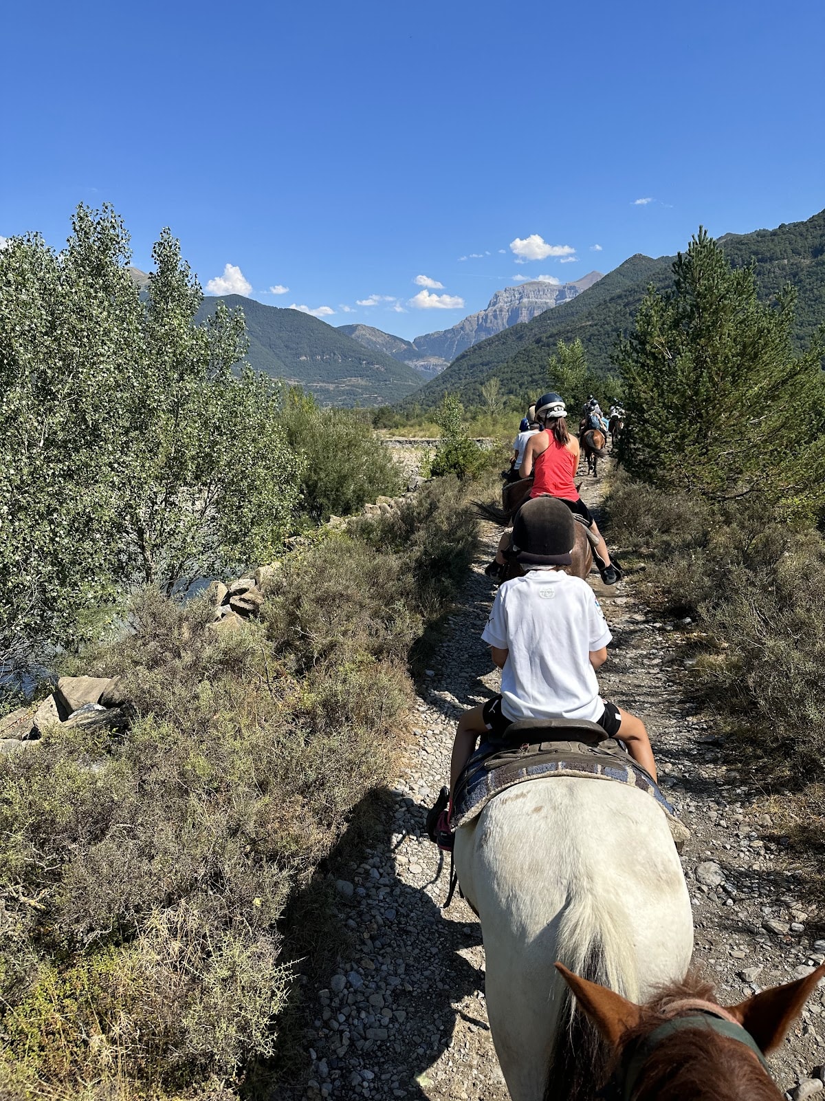 Caballos de Sarvisé - Hipica em Sarvisé