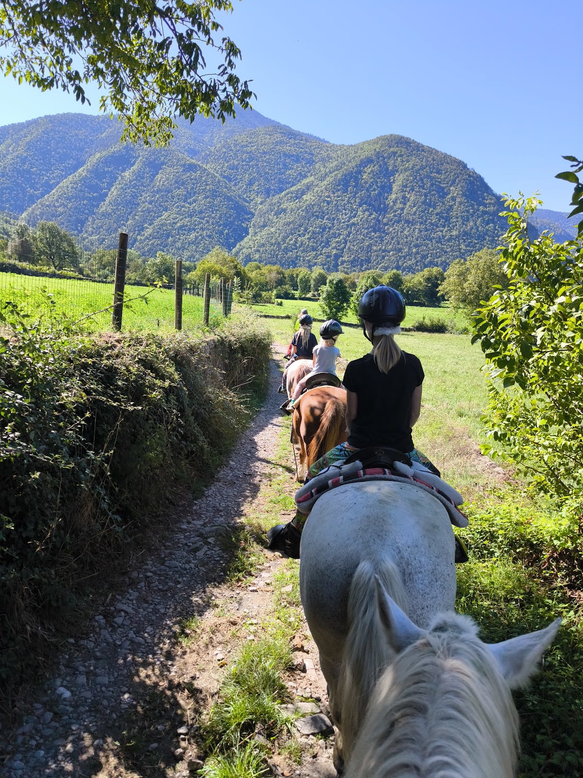 Caballos Casa Blas - Hipica in Sarvisé