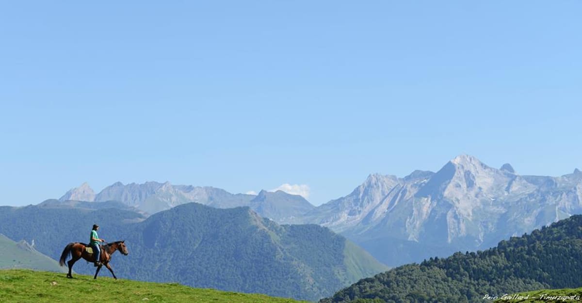 the horses of Benu - Hipica in Bielle