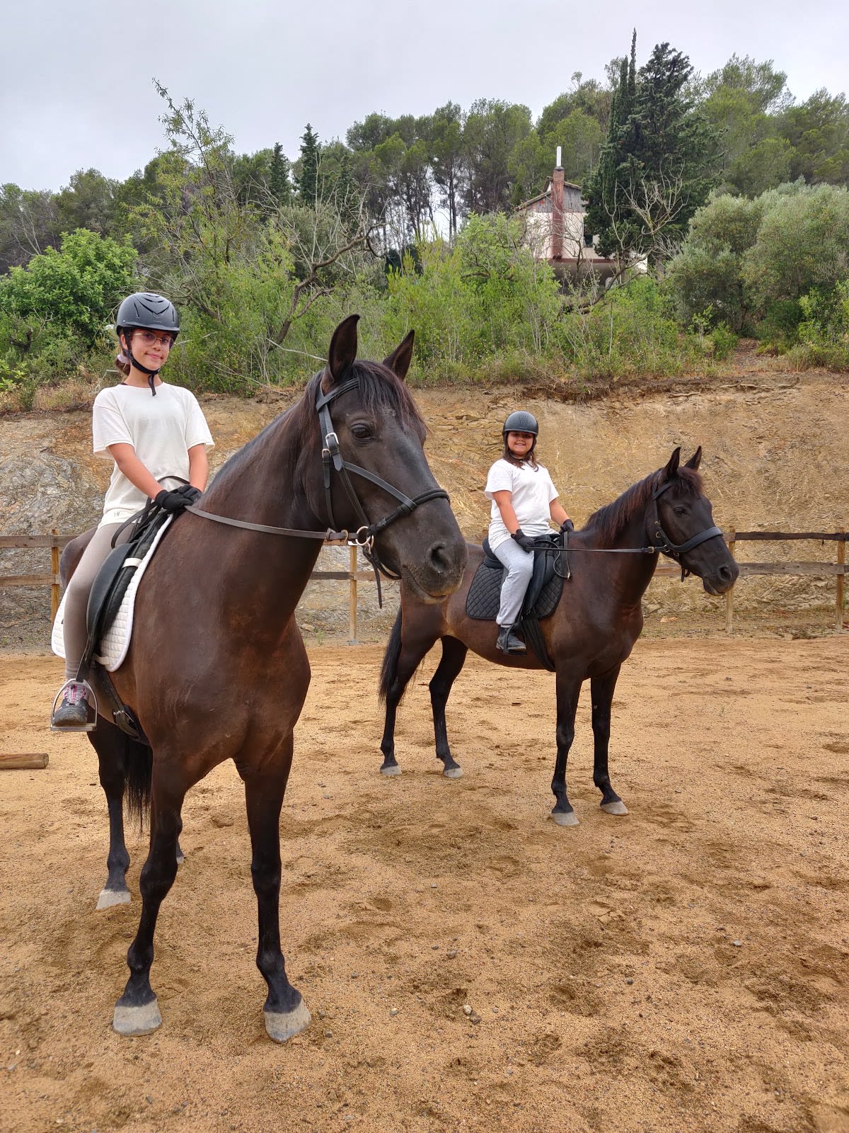 Hesting Club, Equitación Bitless - Hipica en Valls