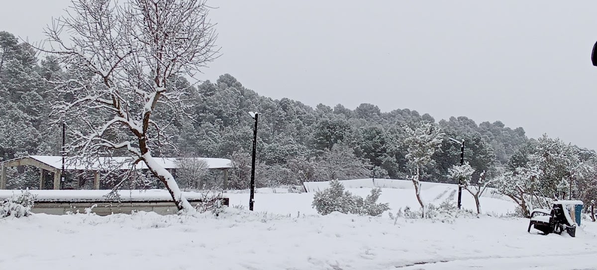 Club Escola Hípica Anoia - Hipica en Sant Genís