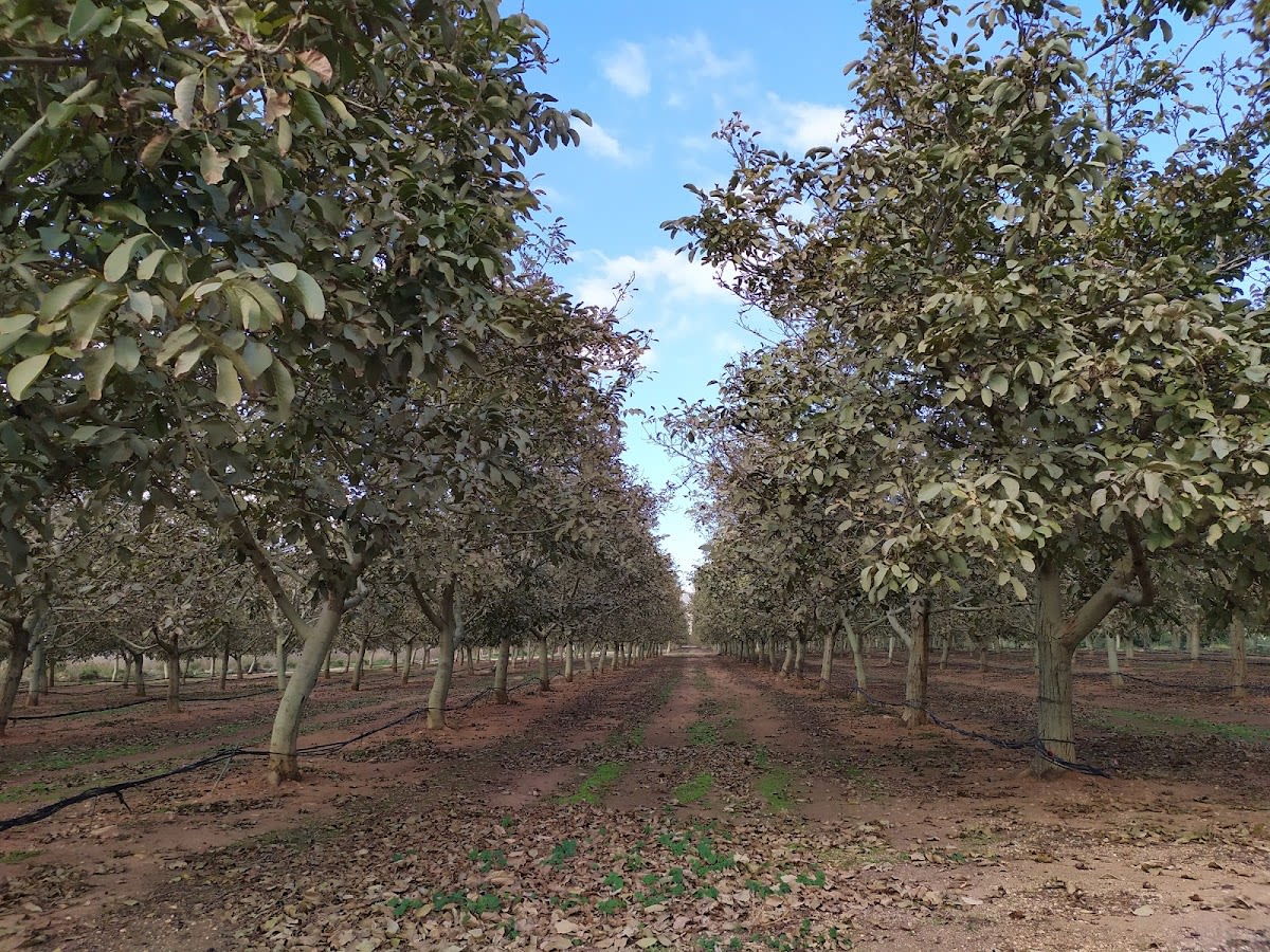 Equus Escola - Hipica en Alcover