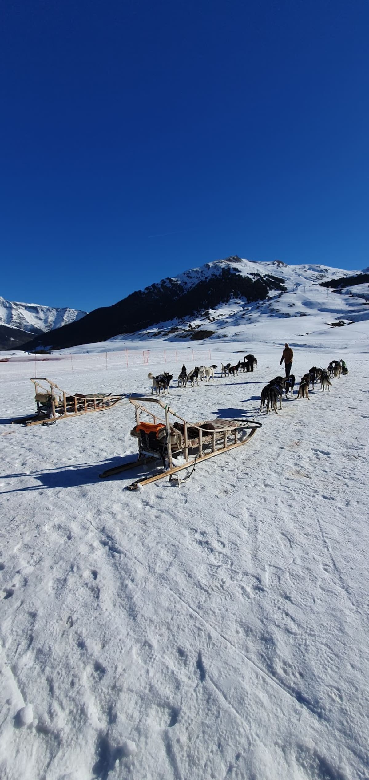 Aranequitación Paseos en trineo. - Hipica in Lleida