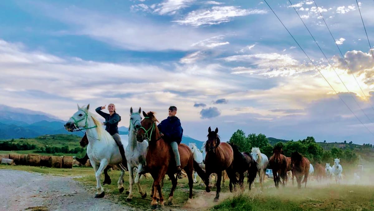 Hípica Prats II - Hipica en Prats