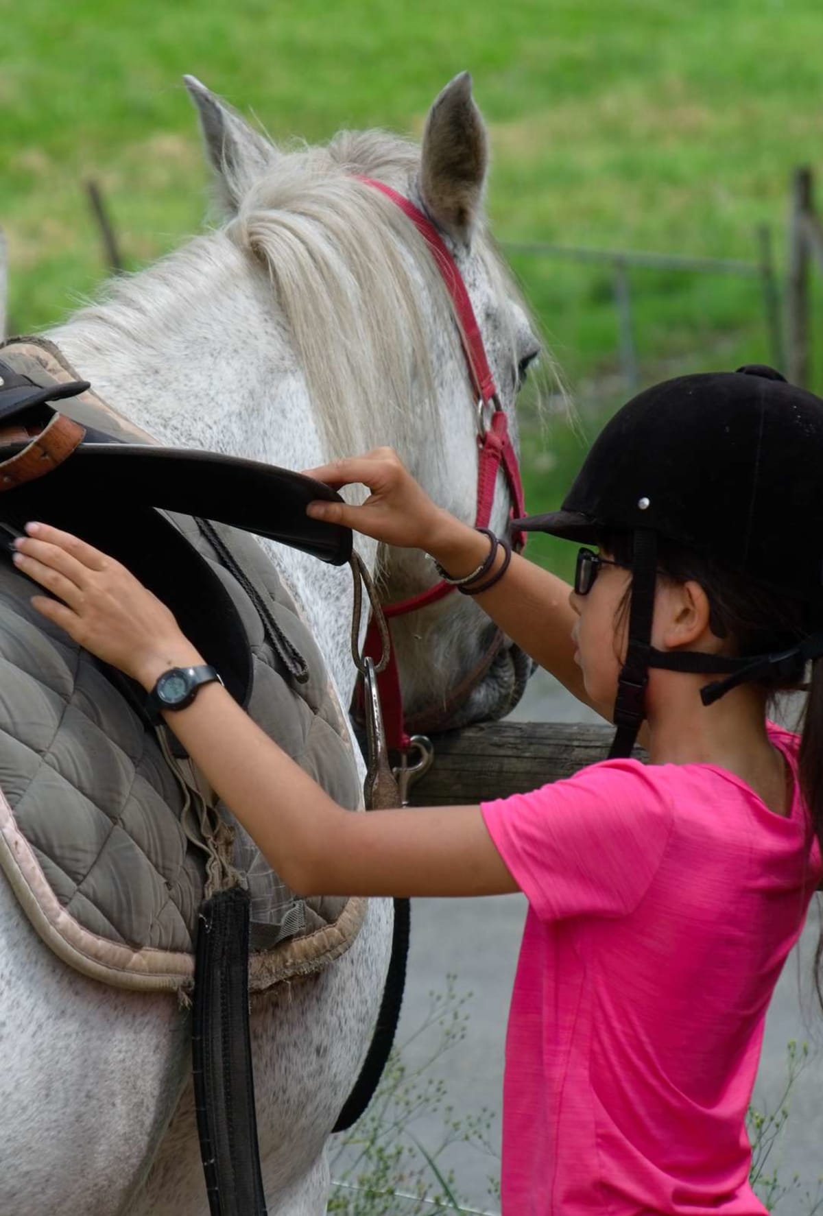 The Equestrian Center Municipal Gailleste - Hipica in Pouzac