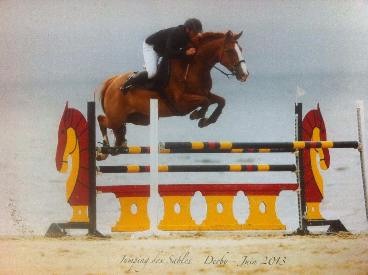 Stalls Du Bouscarou - Hipica in Odos