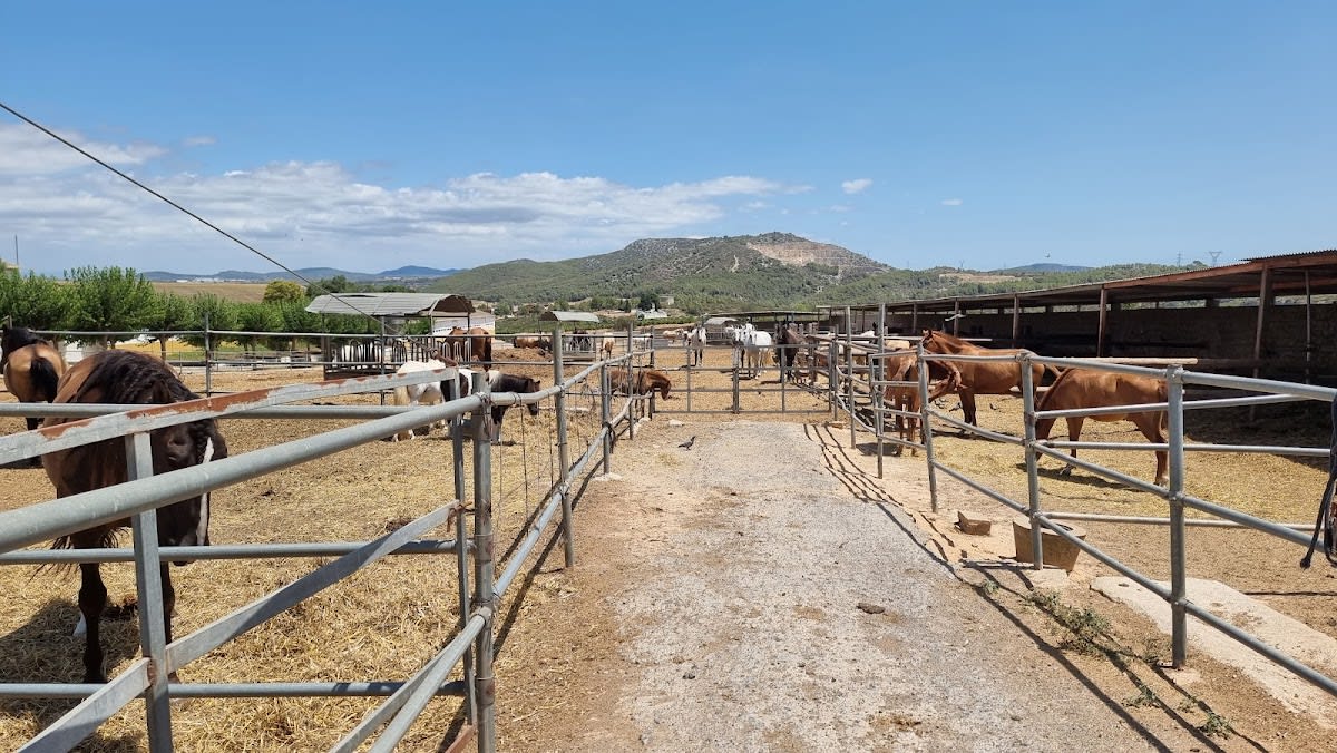 Hípica Vinyet - Hipica in Sant Miquel d'Olèrdola