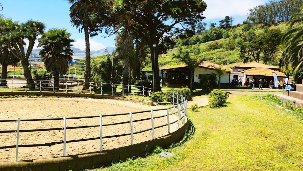 Club Hípico Nueva Atalaya - Hipica in La Laguna