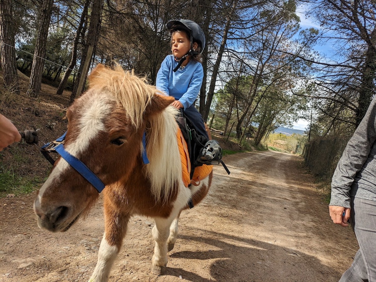 Ponicat - Hipica in Taradell