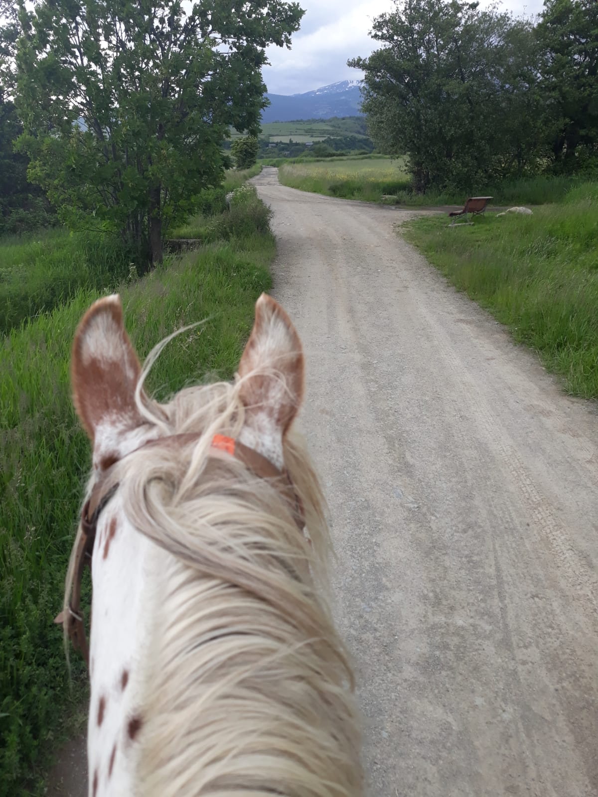 Hípica de Llívia - Mas Rodonell - Hipica in Llívia