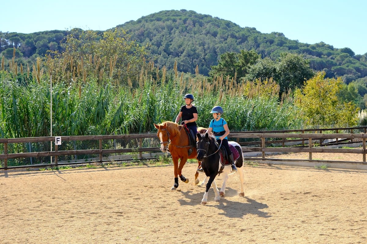 Asociación ecuestre de Blanes - Hipica in Blanes