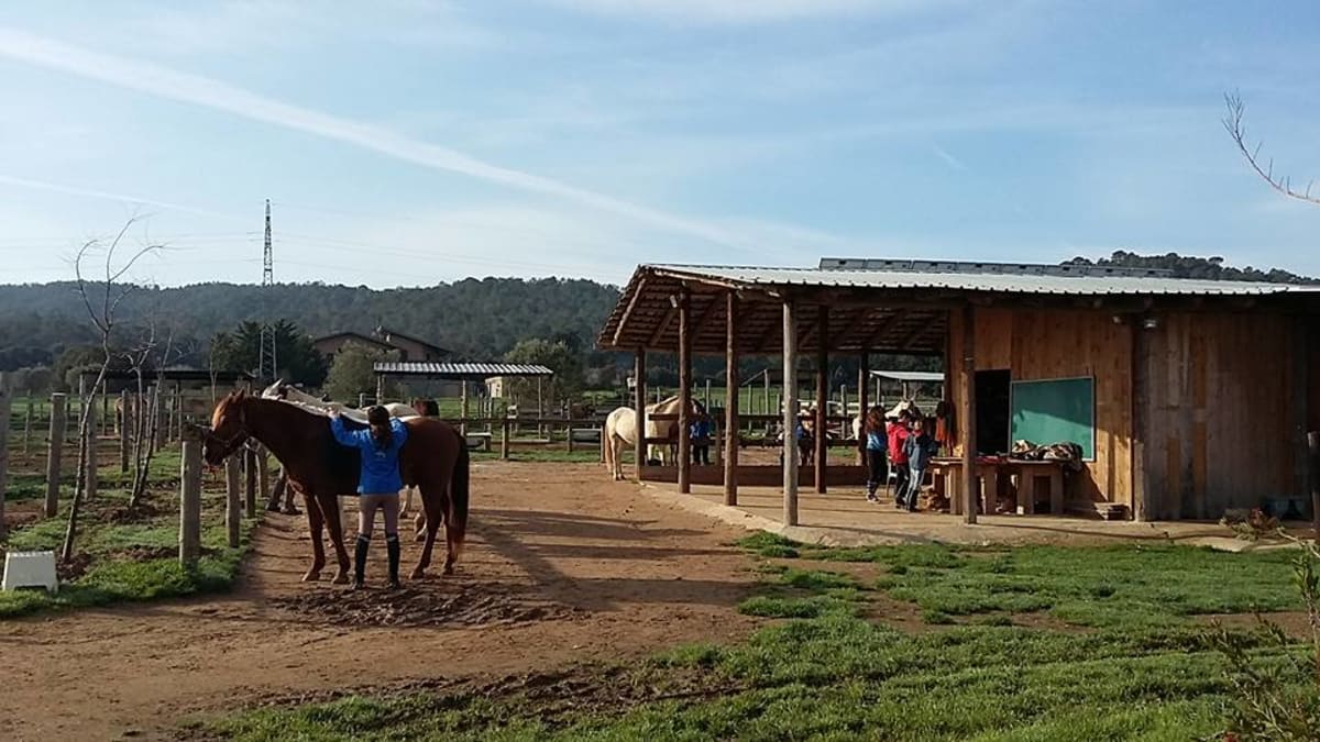 Escola Hípica El Turó - Hipica en Fonteta