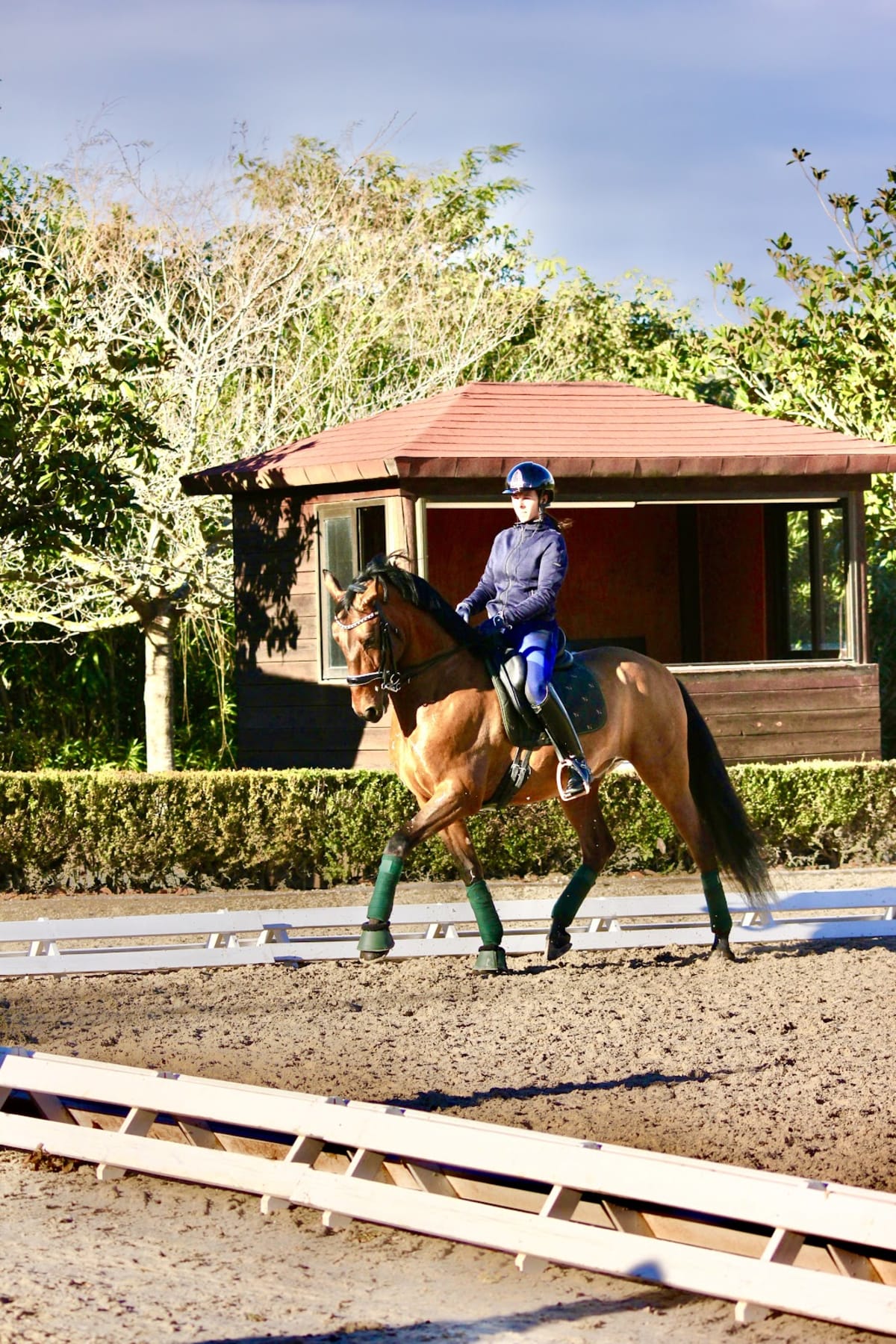 EQUESTRIAN CENTER 2002, S.L. - Hipica a Jerez de la Frontera