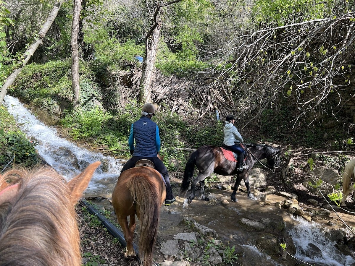 Hipica Peufort - Hipica in Sort