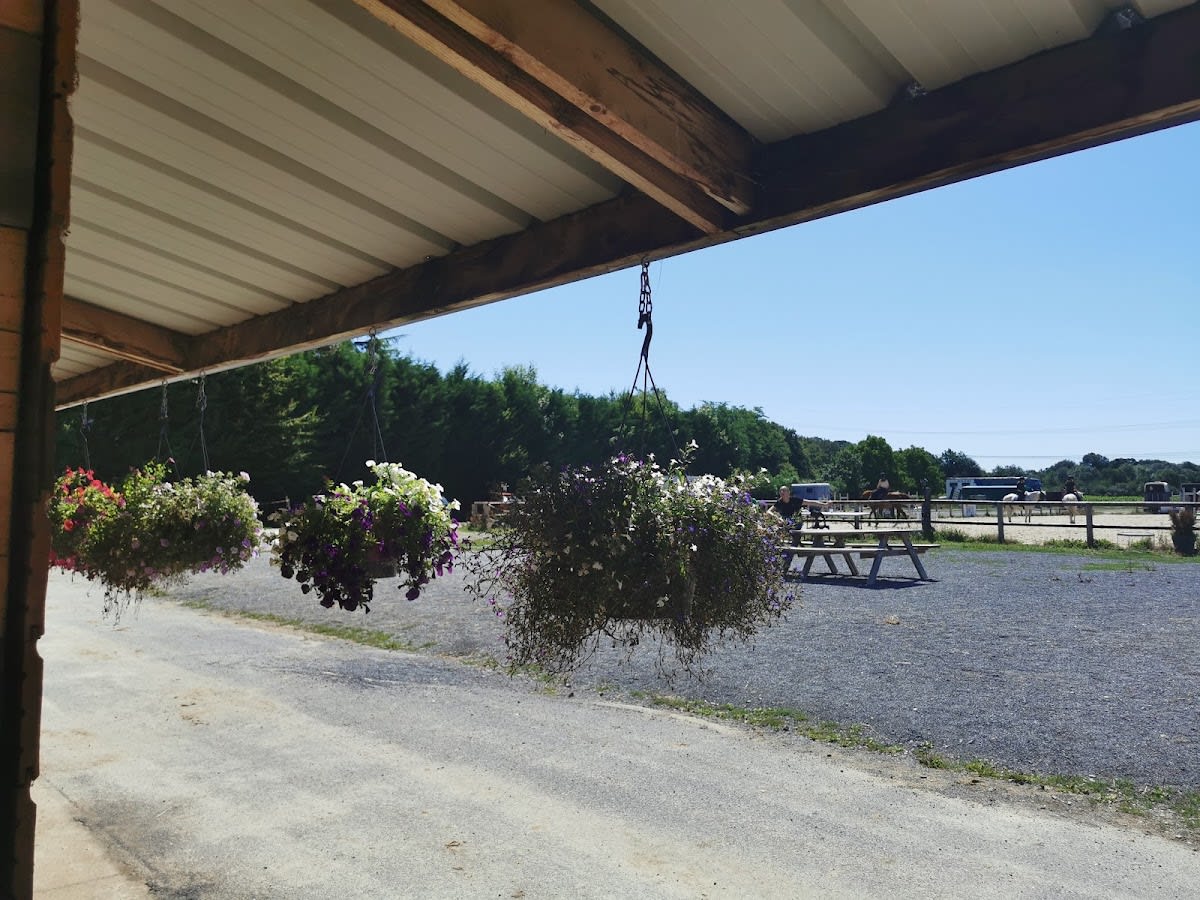 Écurie Nicolas Hui - Hipica em Saint-Laurent-Bretagne
