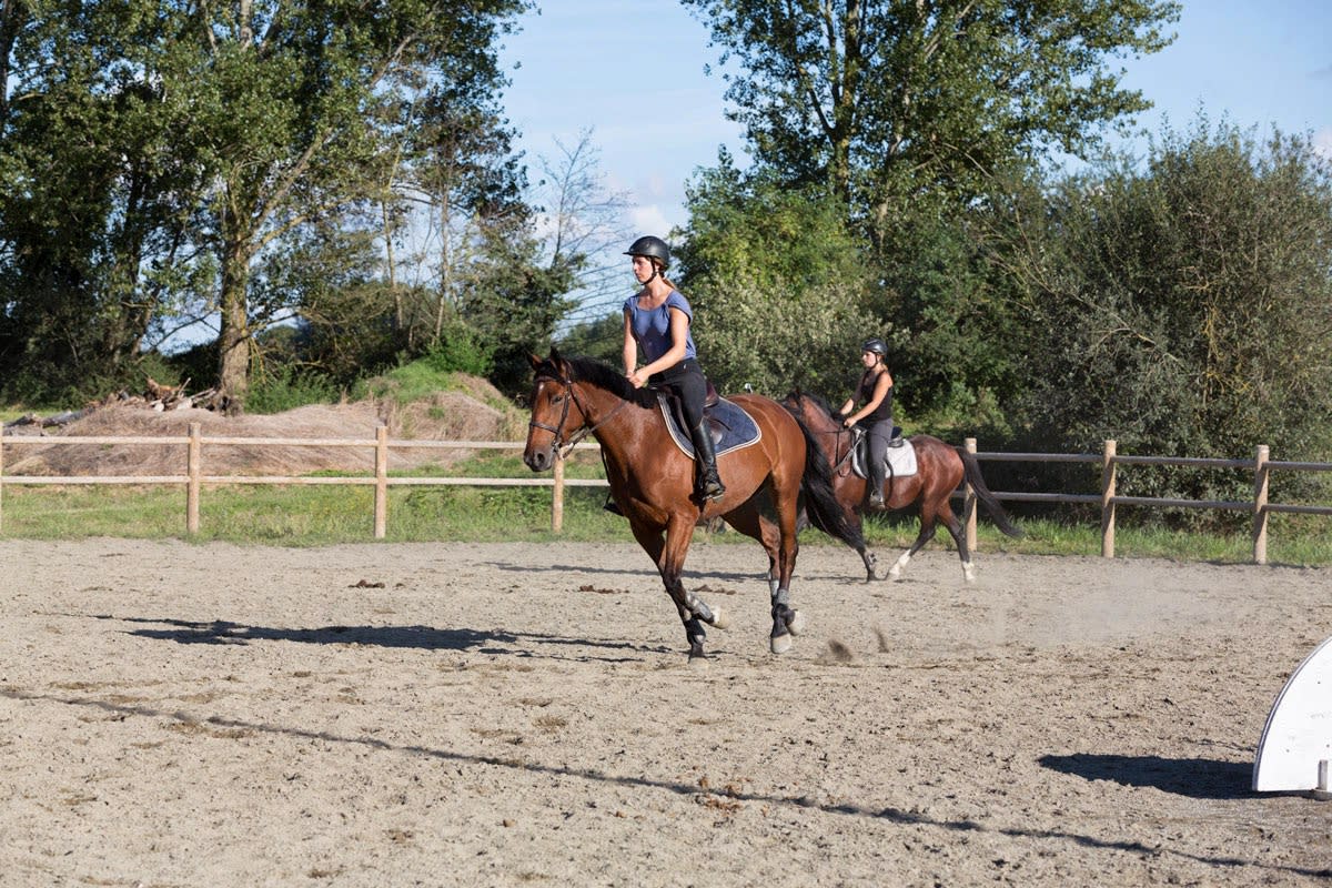 Domaine Equestre de la Louge - Hipica in Gratens