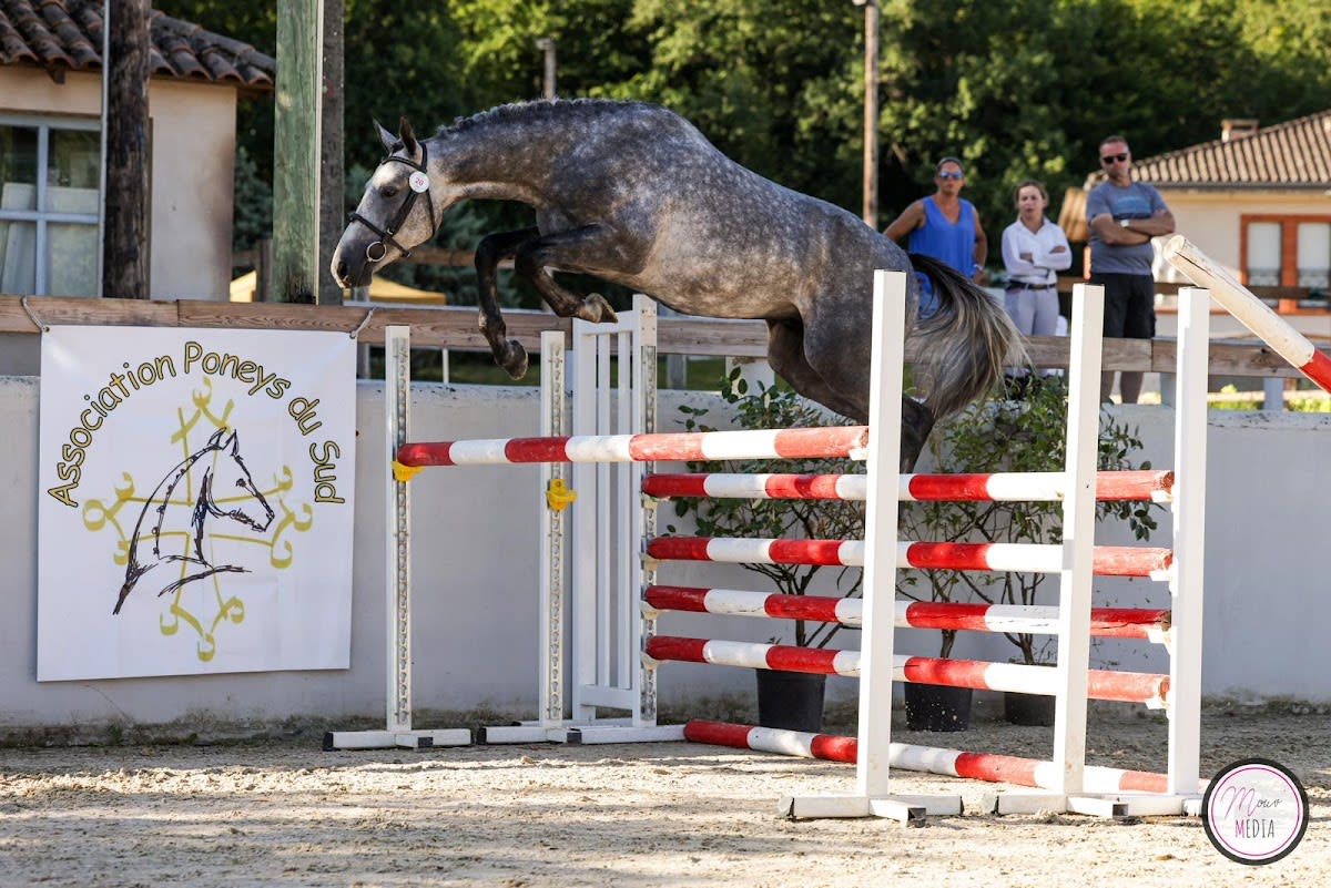 PONEY CLUB DU MOULIN DE PARADE - Hipica en Lherm