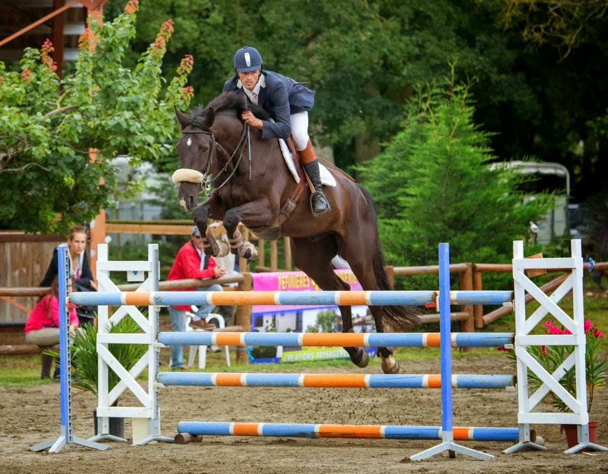Stables Du Vernet - Hipica in Vernet