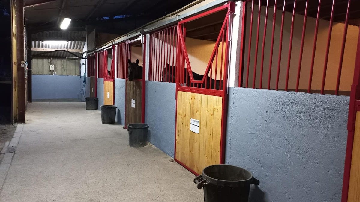 Teiul De La Source - Hipica in Bénac