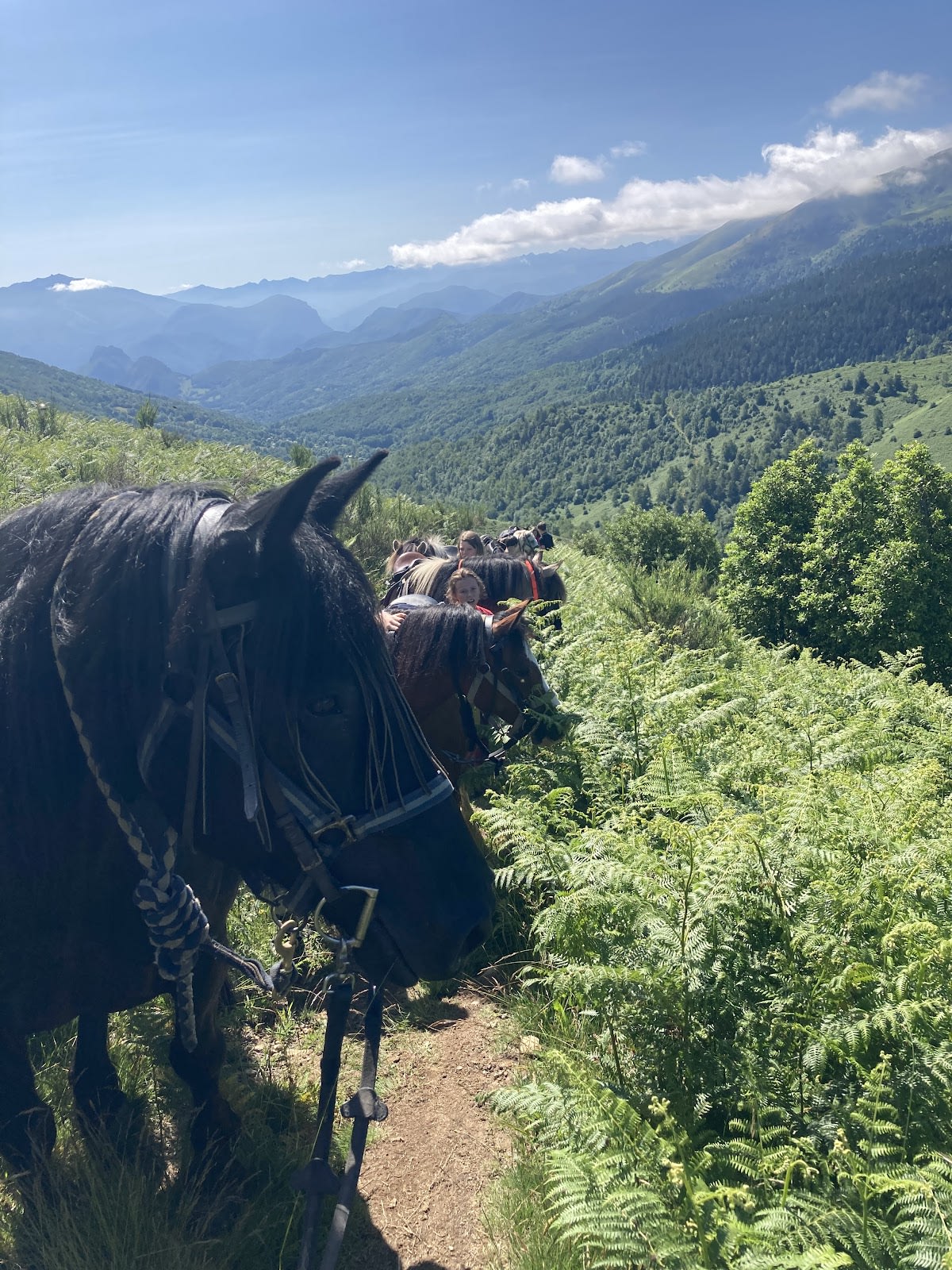 Centre Ėquestre La Souleille à Massat - Hipica en Massat