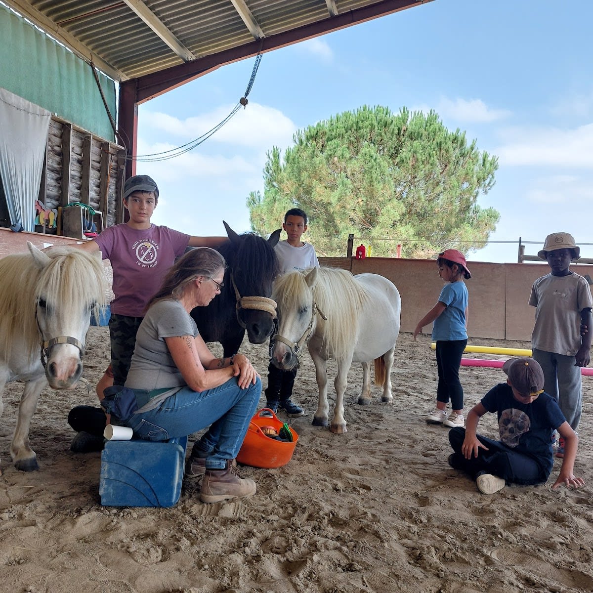 A Tous Crins - Hipica en Saux-et-Pomarède