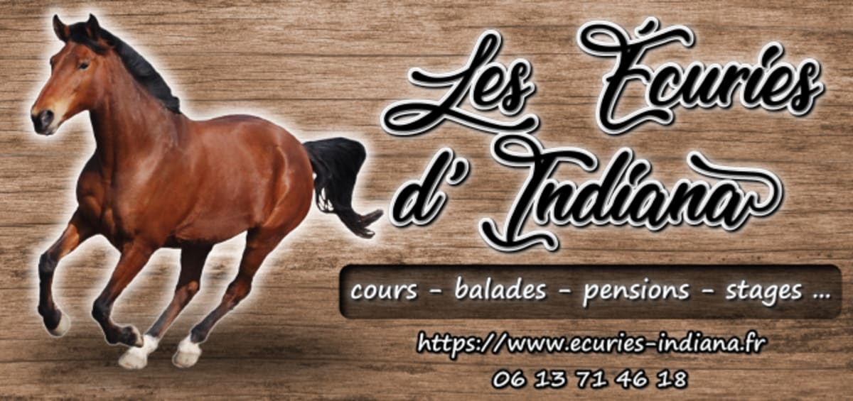 Les Ecuries D'indiana - Hipica en Montesquieu-Volvestre