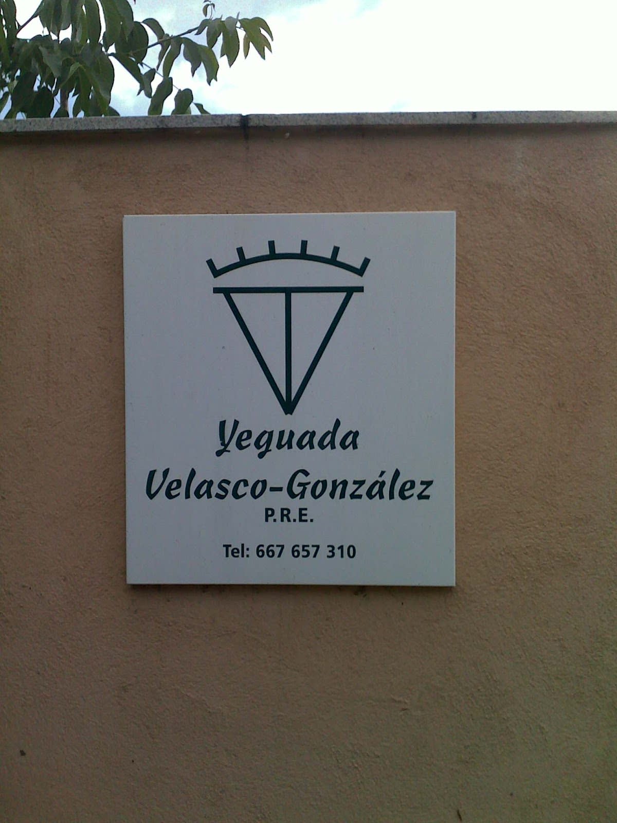 Yeguada Velasco - Hipica en Barcelona