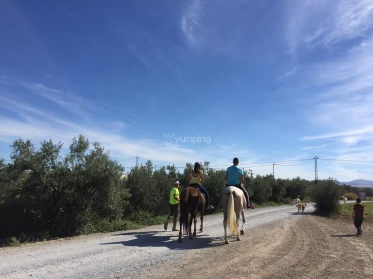 Yeguada y Granja Escuela La Dehesa - Hipica in Caniles