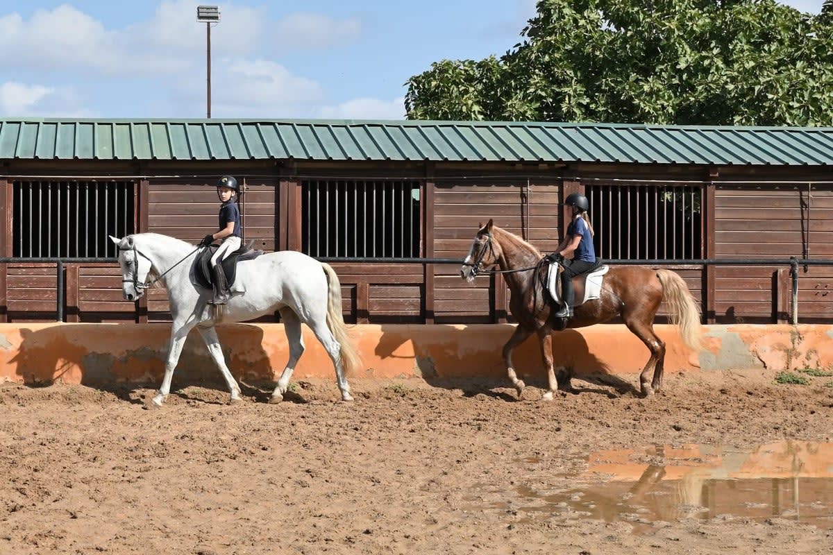 CENTRO ECUESTRE CORTIJO SANTANA - Hipica em Albal