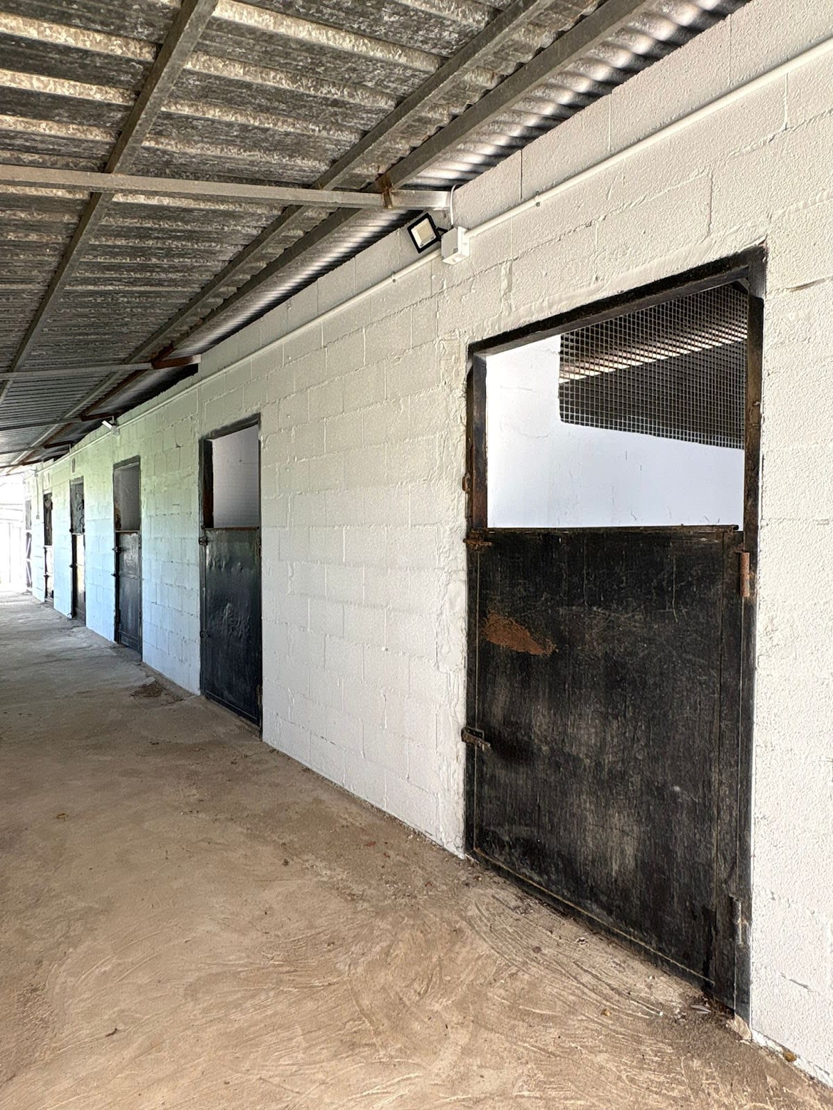 Centro/ecuestre Pasos de plata - Hipica en Sedaví