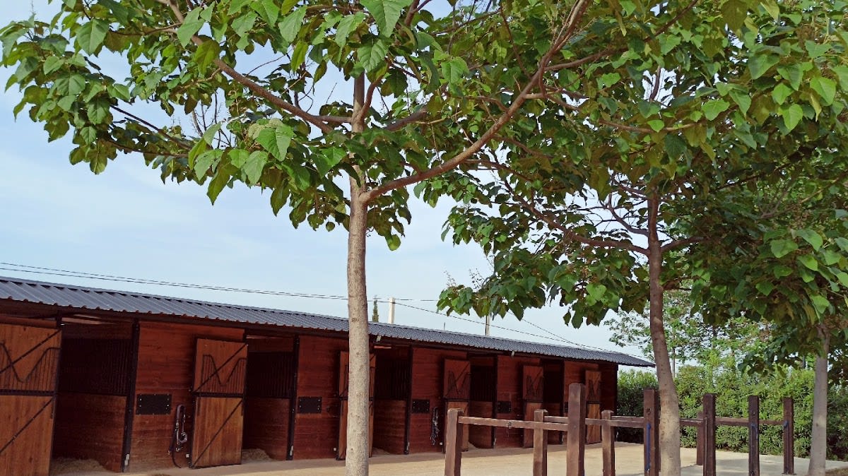 L'Eden Du Cheval - Hipica in Bétera