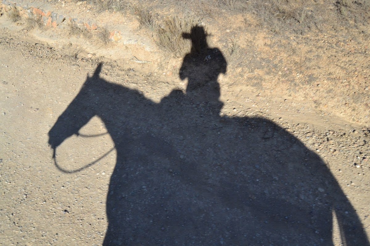 EQUINOEDUCA, Rutas a caballo por el Parque Natural del Turia - Hipica en Vilamarxant