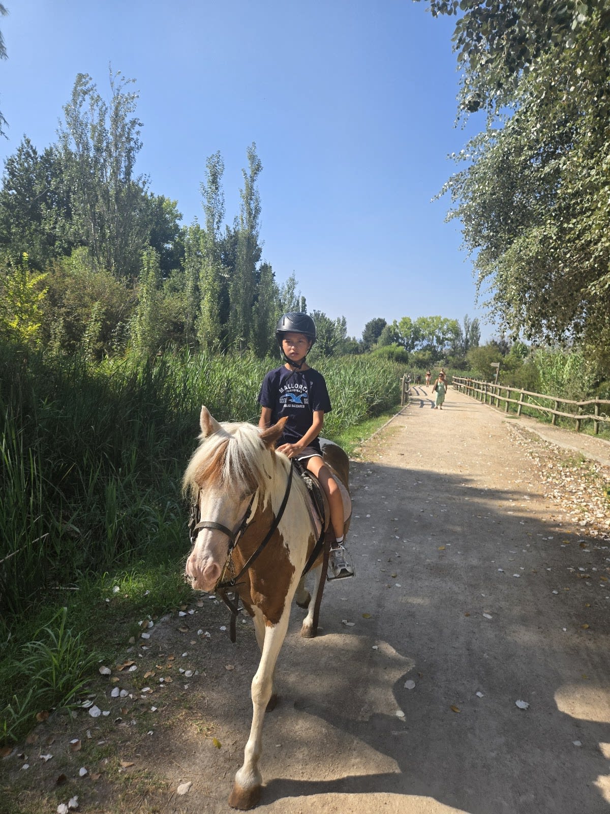 Los Robles, Equestrian centre - Hipica in Gandia