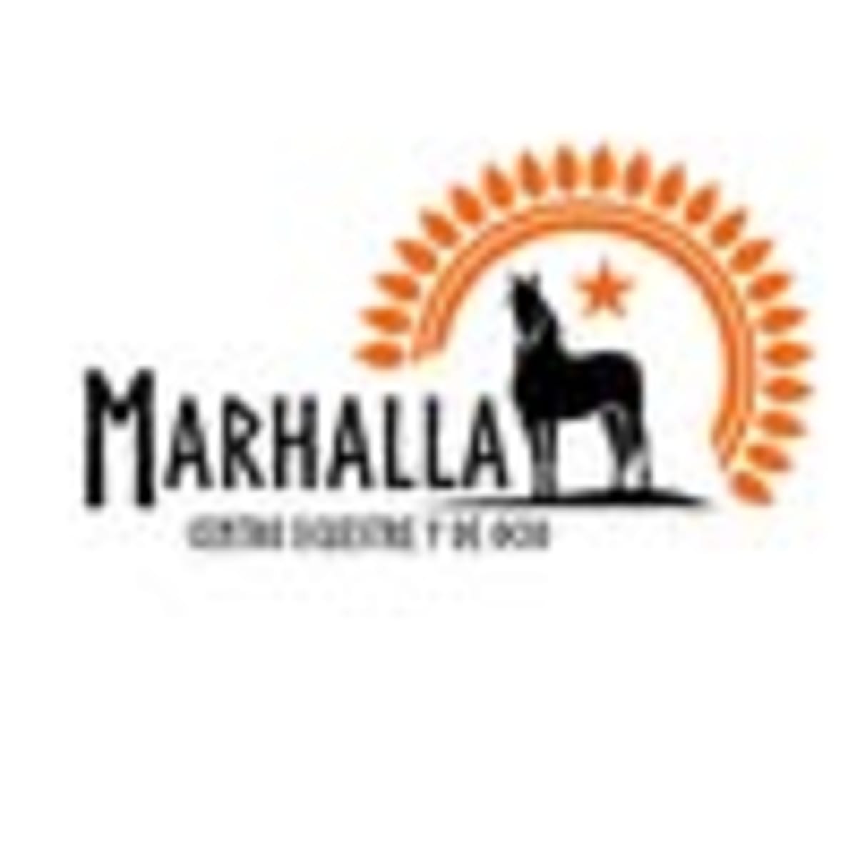 Marhalla Ecuestre - Hipica en La Llosa