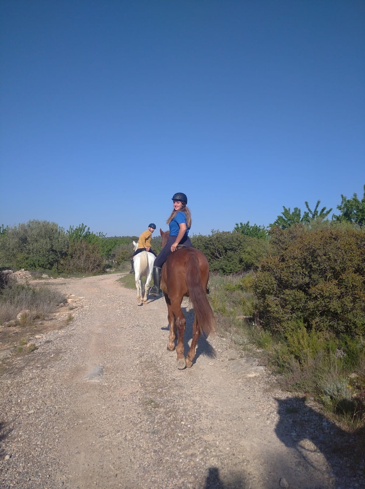 Club Hipico The Paddock - Hipica en Valencia