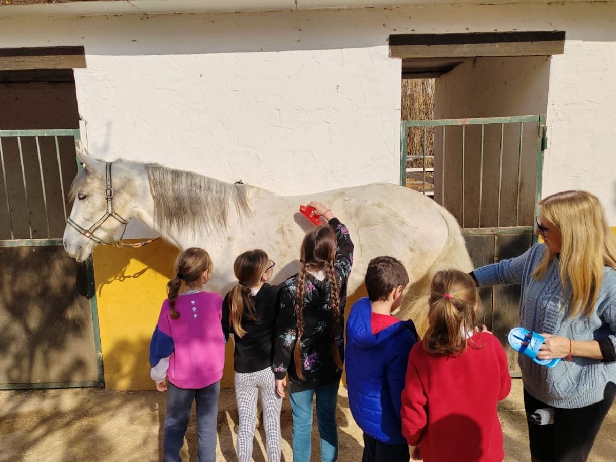 Club hipico la Jara - Hipica en Torrent