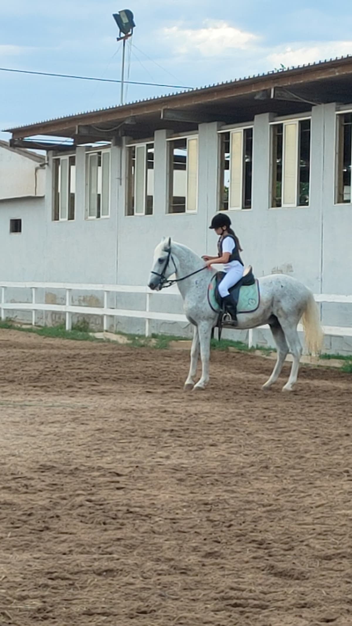 Club d’Equitació d’Alboraia - Hipica en Alboraia