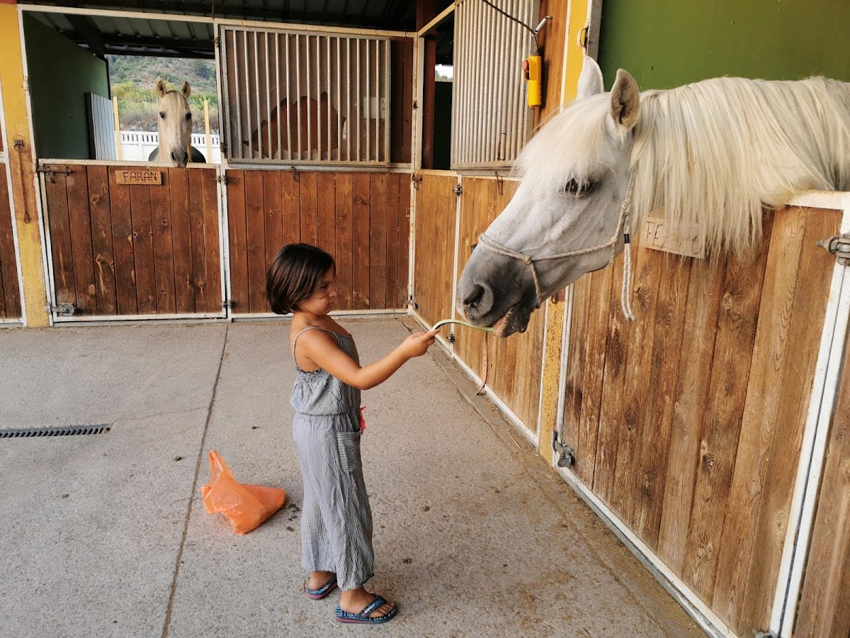 Hípica Bulerías - Hipica in Titaguas